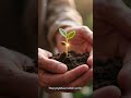 🕊️ Damai Sejahtera yang Sempurna | Yesaya 26:3