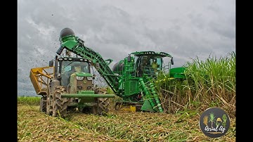 Brand New 2021 John Deere CH570 SugarCane Harvester 4K