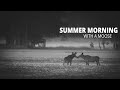 Summer morning with moose, Finland