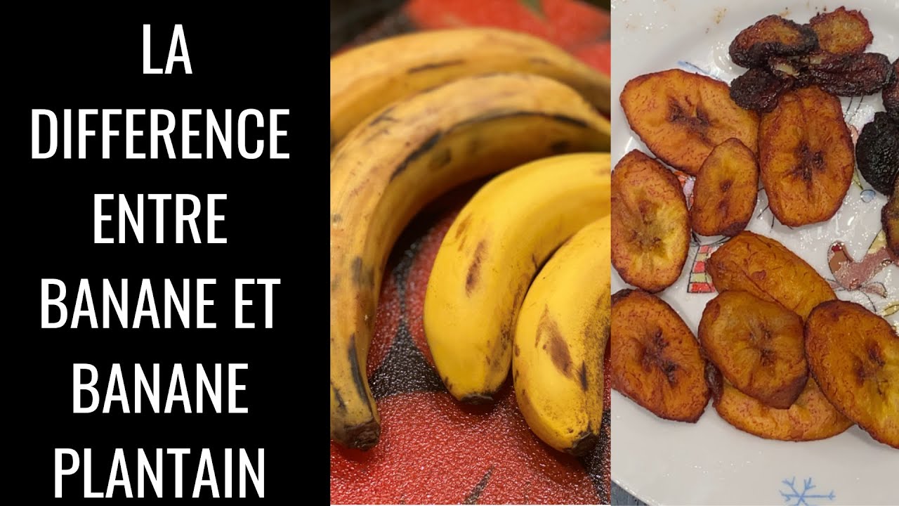 BANANE ET BANANE PLANTAIN (Aloko Frites)...Quelle est la meilleure