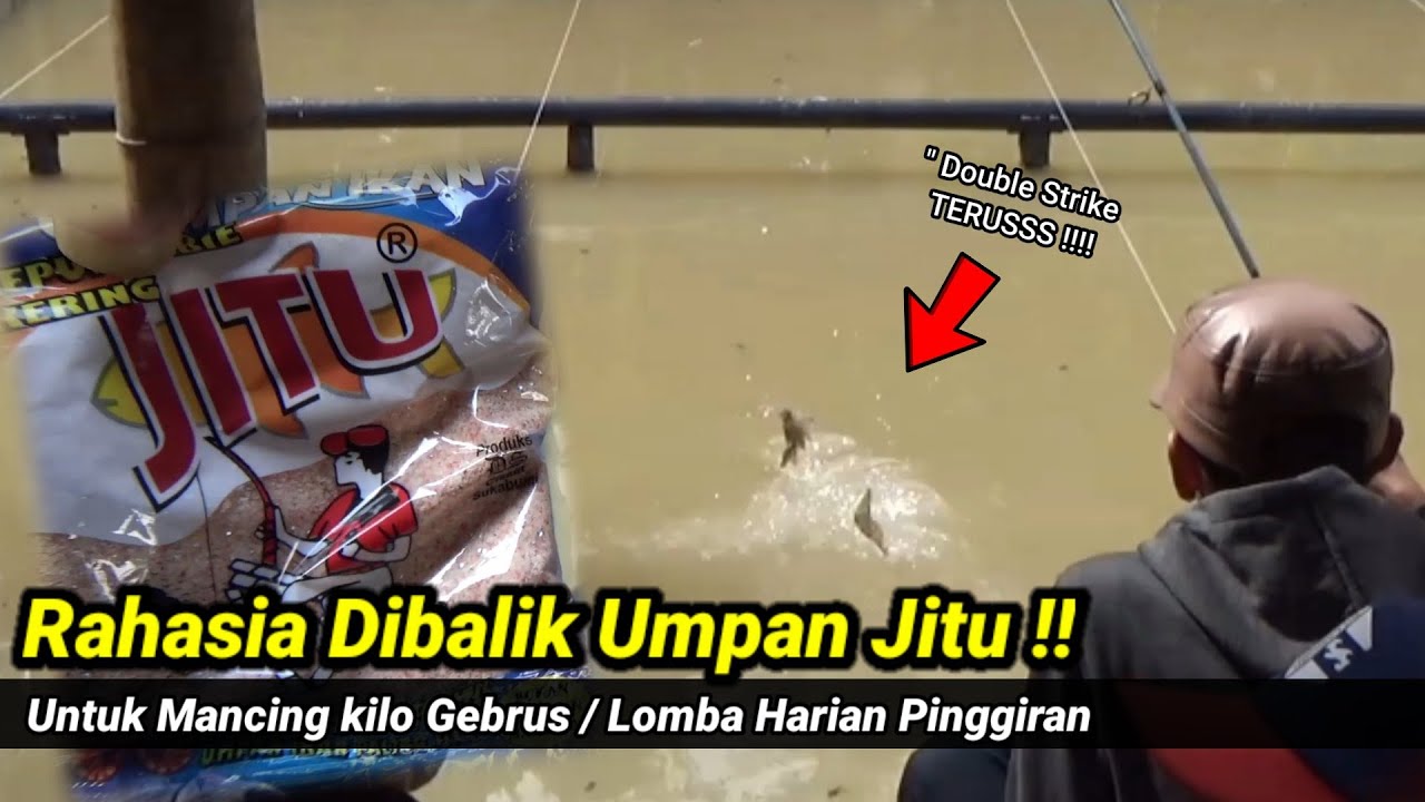 Rahasia Dibalik Umpan JITU EBI Maksimal dikolam pemancingan
