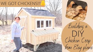 We built a DIY CHICKEN COOP from ETSY plans for our chicks!