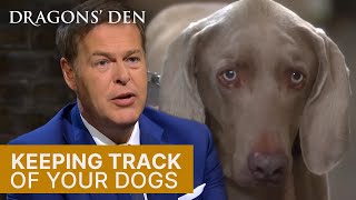 This Product Helps Combat Dog Theft | Dragons' Den