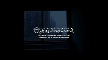 @ybh_1000#عبدالرحمن_مسعد #تلاوة_خاشعة #اعرضهاالان #اكسبلور #quran #duet #تيك_توك