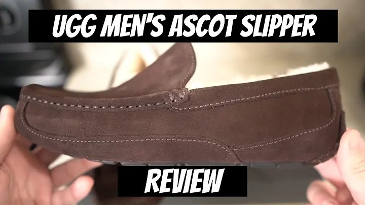 Is It The BEST Men's Slipper? (UGG Men's Ascot Slipper Review)