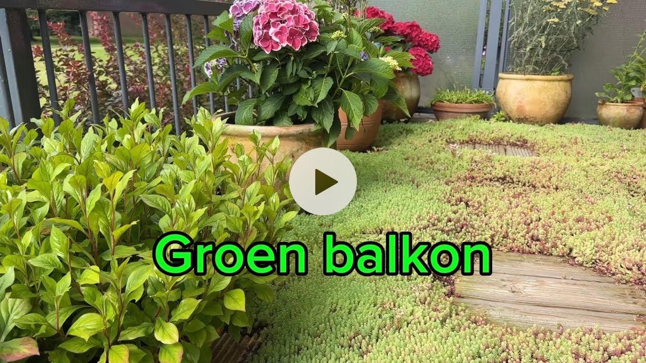 Groen balkon