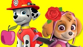 Щенячий патруль новые серии игра для детей играем со щенком. Скай в салоне #paw patrol Щенячий патруль новые серии игра для детей играем со щенком. Скай в салоне #paw patrol