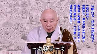 從極樂再來此界之人：這樣的菩薩很多｜他在旁邊看緣分：他慢慢等，等你成熟｜淨宗成熟的樣子｜真相信；真發願；念念沒有丟失：這就是根熟眾生｜愈是眾生有大苦難，佛菩薩愈憐憫這個地區｜淨空老法師