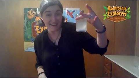 Lesson 1 Bible Challenge Video | Rainforest Explorers Digital VBS