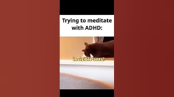 Bathe in catnip 🤣 #viral #cat #catnip