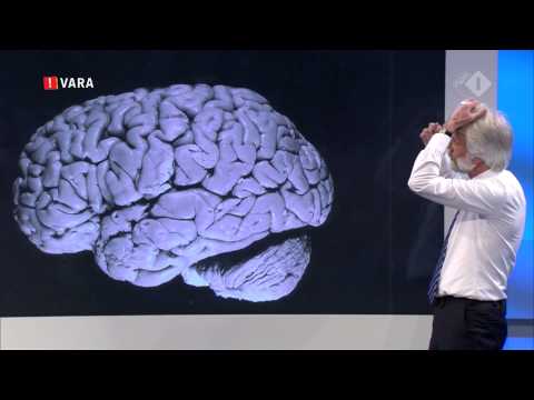 Erik Scherder vertelt over de ziekte Alzheimer