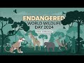 Endangered world wildlife day 2024  wion wideangle