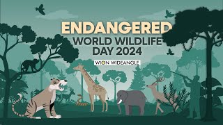 Endangered: World wildlife day 2024 | WION WIDEANGLE