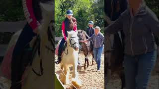 #horse #equestrianjourney #pony #equestrian #horseriding #animals #eq