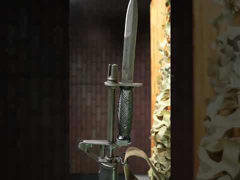 The AR-15 Bayonet 🗡️ Lug Explained 🪖