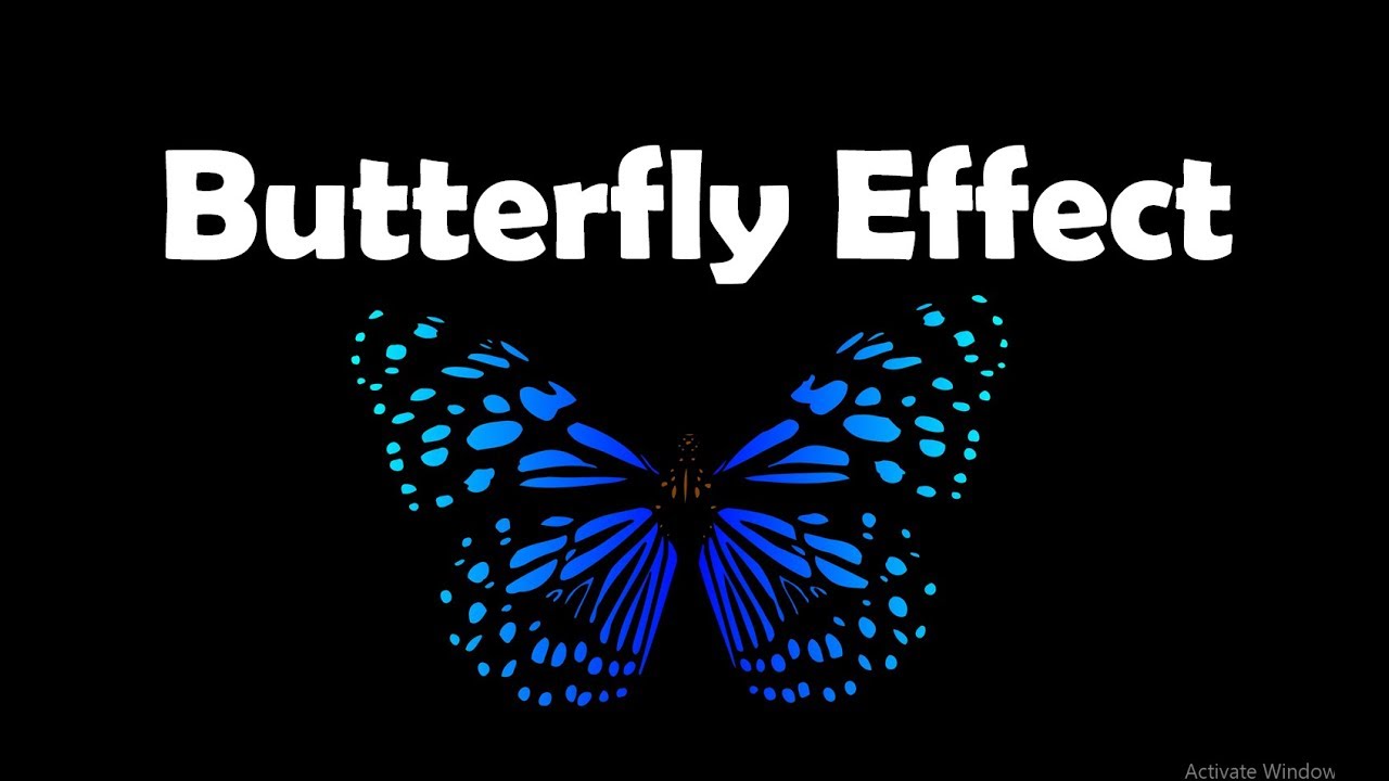 Ejemplos del efecto mariposa: la teoría del caos en acción