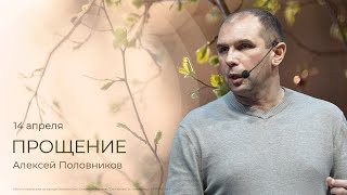 Прощение | Алексей Половников (14 апреля 2024)