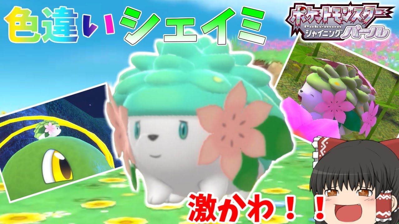 ポケモン モンコレ シェイミ パールカラー 【公式通販】 ポケモン