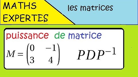 Terminale Maths Expertes- Les matrices - GRAND CLASSIQUE exercice : puissance d