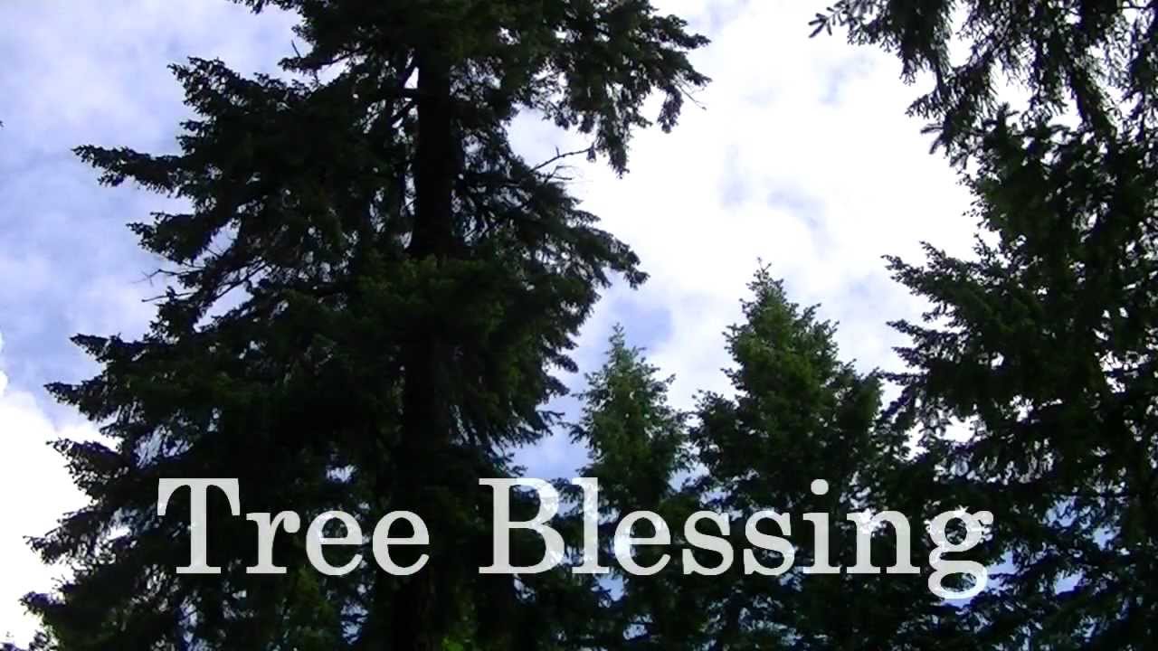 Singing Crystal Bowl Tree Blessing Meditation YouTube