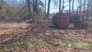 A Very Unique 1965- Massey Ferguson 180 Pulling A Chain Harrow