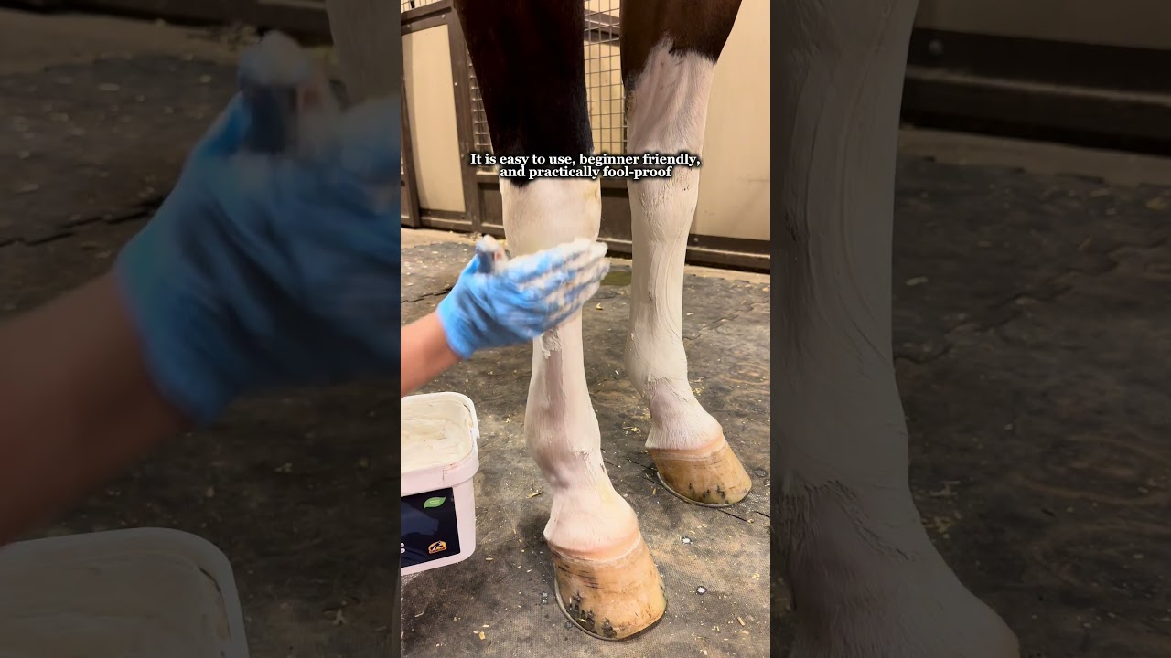 Poultice is a a perfect cool-down solution for summer or recovery year round!