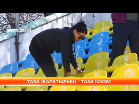 Video: Эмне үчүн коом жана жаратылыш гармонияда жашай албайт