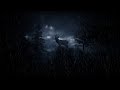 Sleepy Deer with Heavy Rain and Thunder Sounds for Sleeping - Dimmed Screen | Sleep Sounds