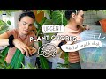 Realistic  overdue catch up on plant chores  repotting rehabbing  adchatter