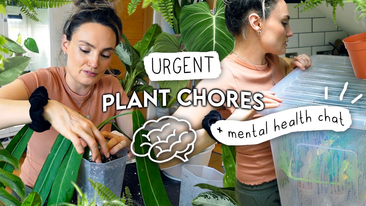 Realistic + Overdue Catch Up On Plant Chores  Repotting, Rehabbing + ADHD Chatter