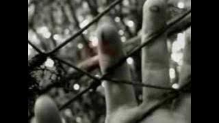 Altin Shira -Te keputa porsi nje lule