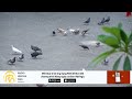 Suy Niệm Lời Chúa | Thứ Tư Tuần V Mùa Phục Sinh (06/05/2026)