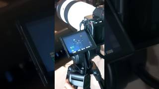 Download Lagu it was a fun day with you guys! Thank you GP Records for this opportunity✨️ #recap #2023 #comatra MP3