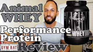 Universal Nutrition | Animal Whey Protein Powder Supplement Review