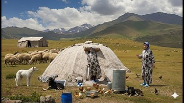 She Lives Alone in the Mountains, But Her Heart Sings with Love 🌄 (قصة امرأة قوية)