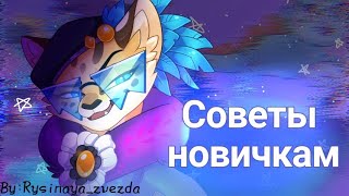 Советы новичкам ☄️|Castle cats|by:𝚁𝚢𝚜𝚒𝚗𝚊𝚢𝚊_𝚣𝚟𝚎𝚣𝚍𝚊