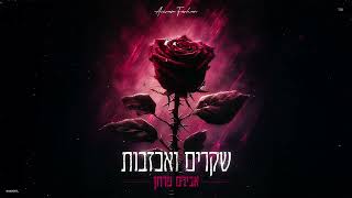 אבירם פרחן - שקרים ואכזבות  (Prod By Mor Ben Yair) Aviram Farhan