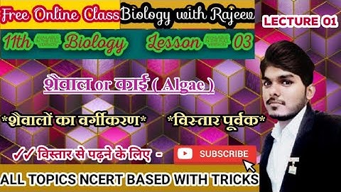 शैवाल|शैवाल का वर्गीकरण|Algae|algae classification|classification of algae|Biology in Hindi