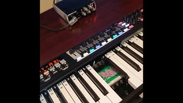 M-Audio Code 49 Dead Keys