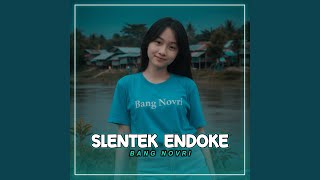 Slentek Endoke