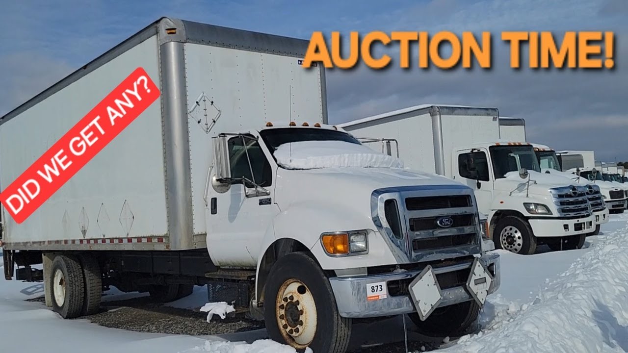 AUCTION TIME! BITTER COLD, BETTER DEALS?