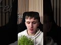 Selbst angebauter Brokkoli: Schmeckt er WIRKLICH oder nur Insta Deko?