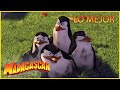 DreamWorks Madagascar En Español Lo Mejor De Los Pingüinos Parte 2 Dibujos Animados Para Niños