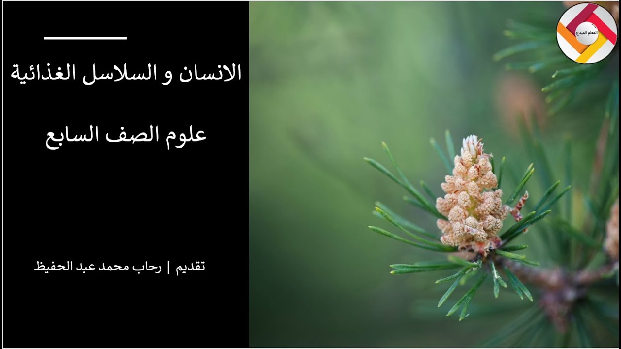 الانسان و السلاسل الغذائية علوم الصف السابع |قناة المعلم المبدع