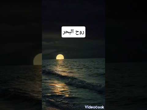 ودوا حبيبي البحر