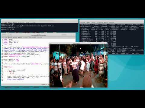 MP4 → /dev/video1, Fake USB Camera