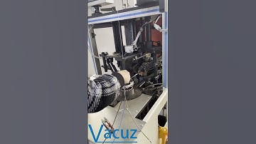 Vacuz Precision Double Side Automatic Induction Motor Coil Wire Binding Bonding Lacing Machine