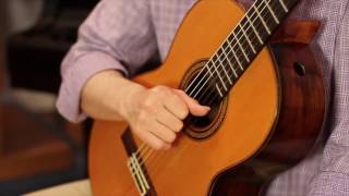PMA Arpeggio Review