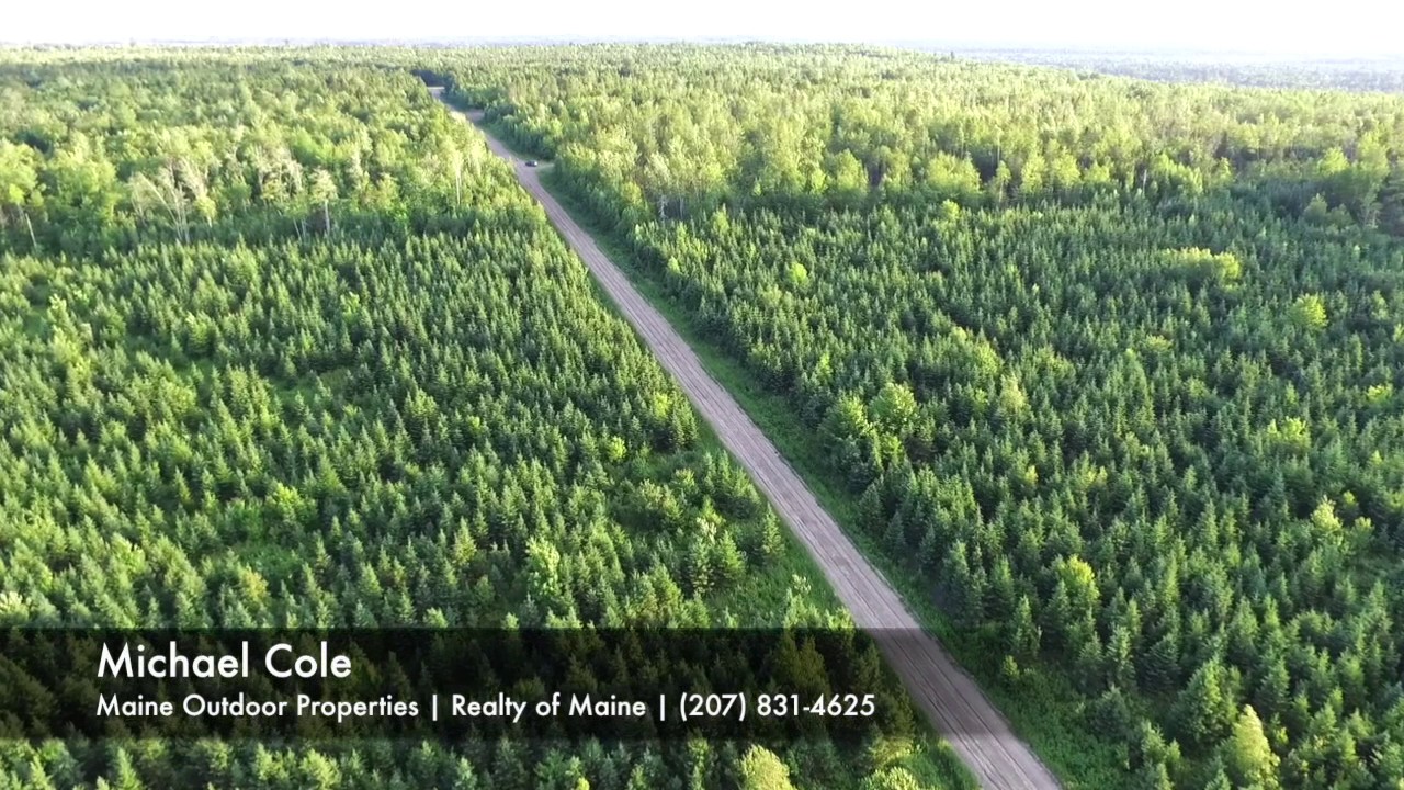 (Aerial Video) Silver Ridge Forest Timberland for Sale in Macwahoc
