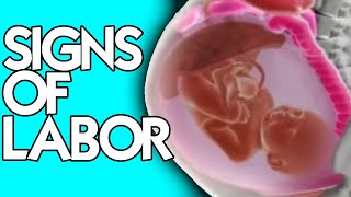 Signs of Labor from a Midwife | How to Know When It